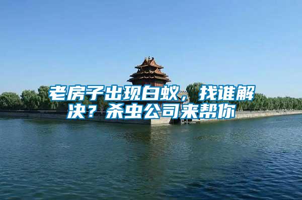 老房子出現白蟻，找誰解決？殺蟲公司來幫你