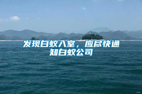 發現白蟻入室，應盡快通知白蟻公司