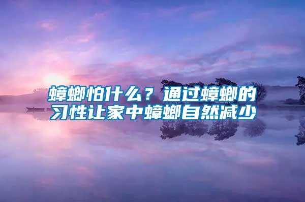 蟑螂怕什么？通過蟑螂的習性讓家中蟑螂自然減少