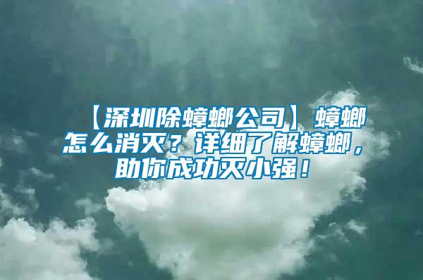 【深圳除蟑螂公司】蟑螂怎么消滅？詳細了解蟑螂，助你成功滅小強！