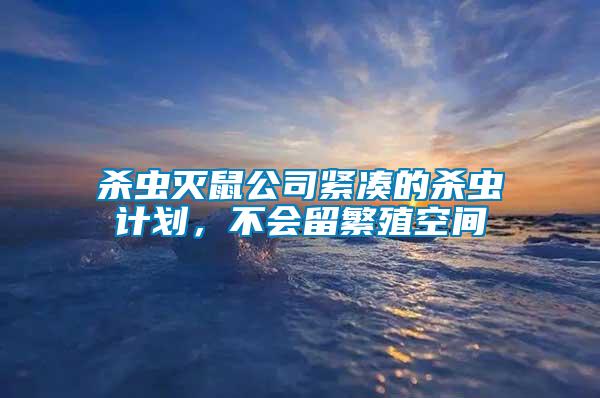 殺蟲滅鼠公司緊湊的殺蟲計劃，不會留繁殖空間