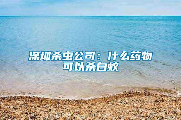 深圳殺蟲公司:什么藥物可以殺白蟻