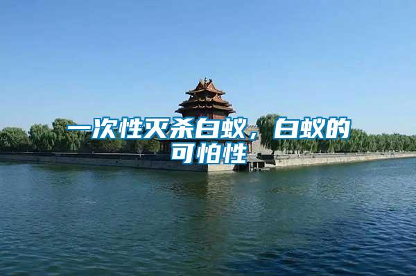 一次性滅殺白蟻,白蟻的可怕性