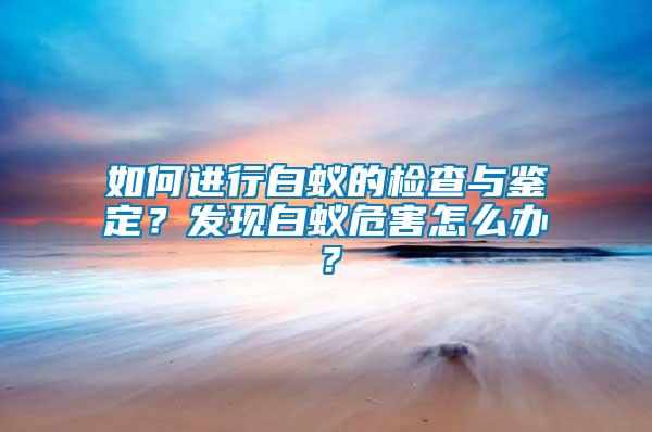如何進行白蟻的檢查與鑒定？發(fā)現(xiàn)白蟻危害怎么辦？