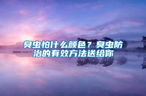 臭蟲怕什么顏色？臭蟲防治的有效方法送給你