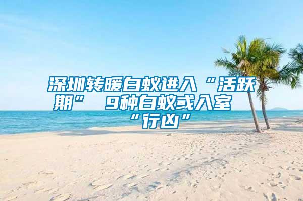 深圳轉暖白蟻進入“活躍期” 9種白蟻或入室“行兇”