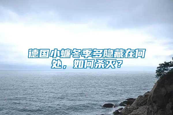 德國小蠊冬季多隱藏在何處，如何殺滅？