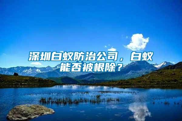 深圳白蟻防治公司，白蟻能否被根除？