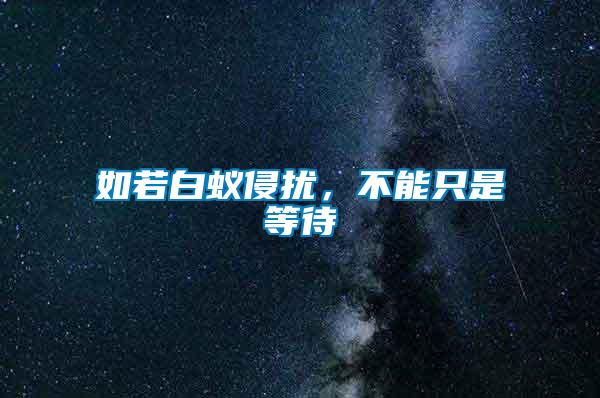 如若白蟻侵擾,不能只是等待