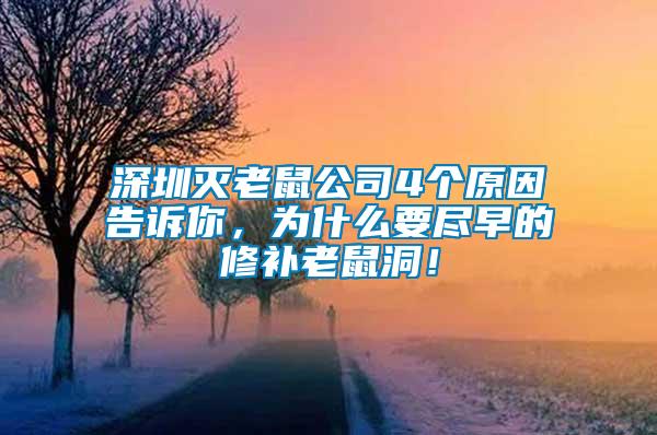 深圳滅老鼠公司4個原因告訴你，為什么要盡早的修補老鼠洞！