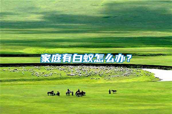 家庭有白蟻怎么辦?