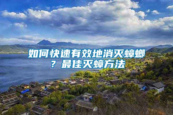 如何快速有效地消滅蟑螂？最佳滅蟑方法