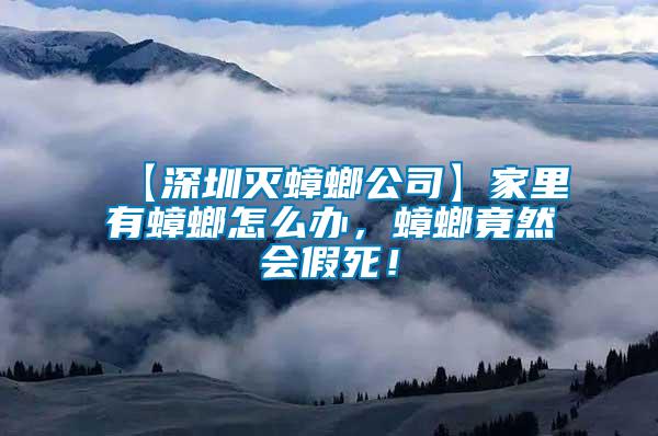 【深圳滅蟑螂公司】家里有蟑螂怎么辦，蟑螂竟然會(huì)假死！