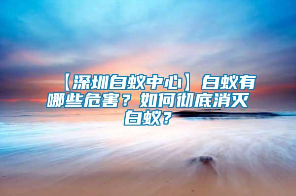 【深圳白蟻中心】白蟻有哪些危害？如何徹底消滅白蟻？