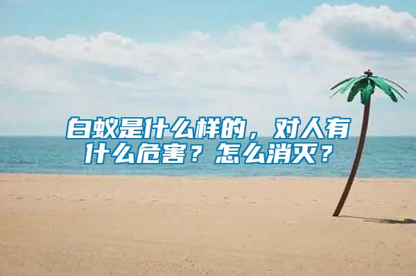白蟻是什么樣的，對人有什么危害？怎么消滅？