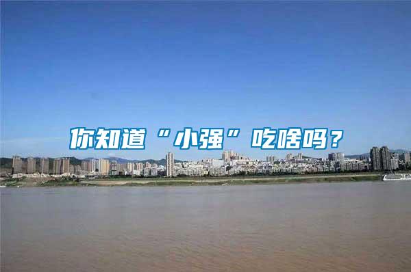 你知道“小強”吃啥嗎？