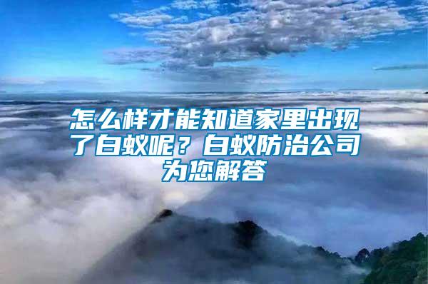 怎么樣才能知道家里出現了白蟻呢？白蟻防治公司為您解答