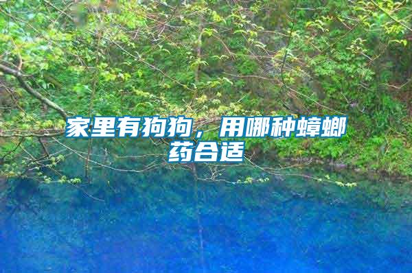 家里有狗狗，用哪種蟑螂藥合適