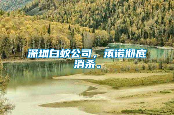 深圳白蟻公司，承諾徹底消殺。