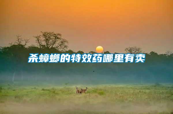 殺蟑螂的特效藥哪里有賣(mài)