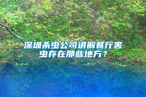深圳殺蟲公司講解餐廳害蟲存在那些地方？