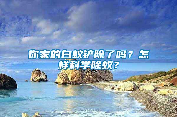 你家的白蟻鏟除了嗎？怎樣科學(xué)除蟻？