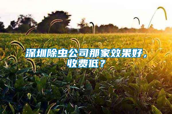 深圳除蟲公司那家效果好，收費低？