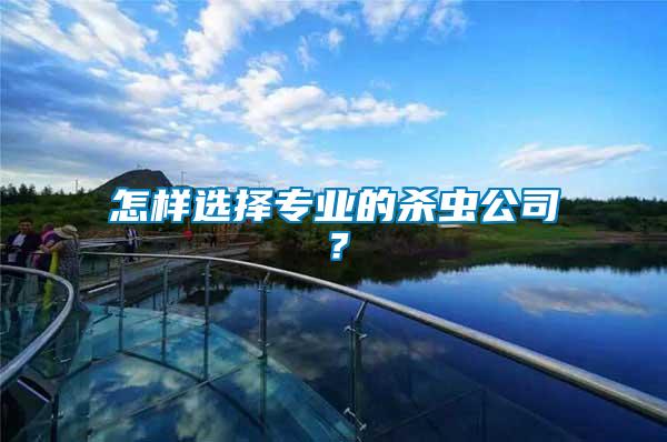 怎樣選擇專業的殺蟲公司？