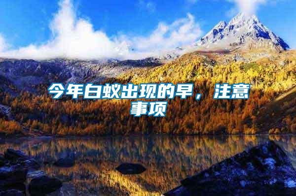 今年白蟻出現的早，注意事項