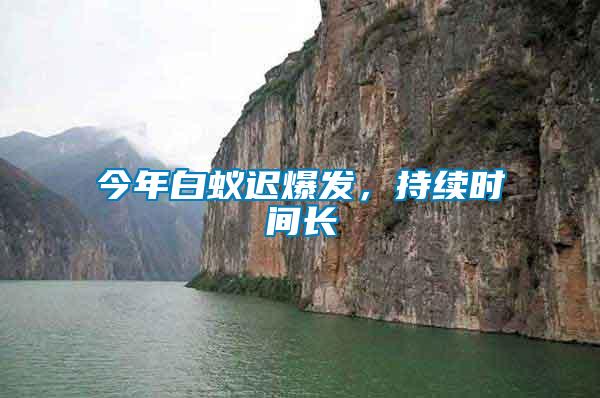 今年白蟻遲爆發(fā)，持續(xù)時(shí)間長(zhǎng)