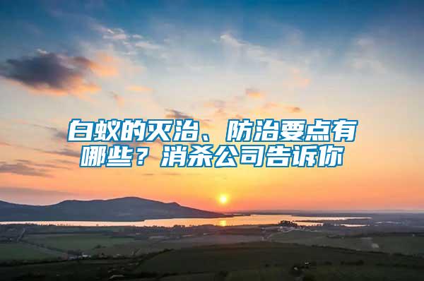 白蟻的滅治、防治要點(diǎn)有哪些？消殺公司告訴你