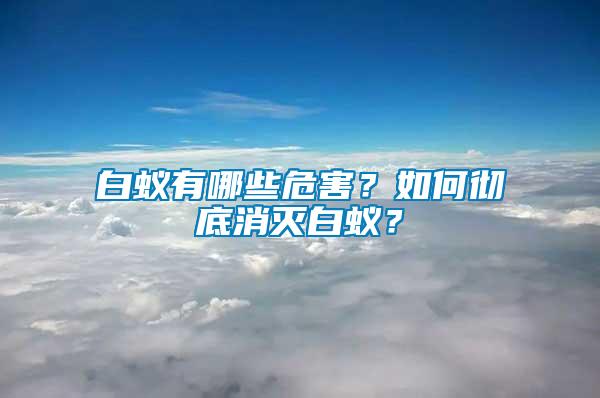 白蟻有哪些危害？如何徹底消滅白蟻？