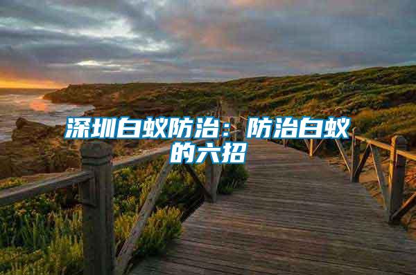 深圳白蟻防治:防治白蟻的六招