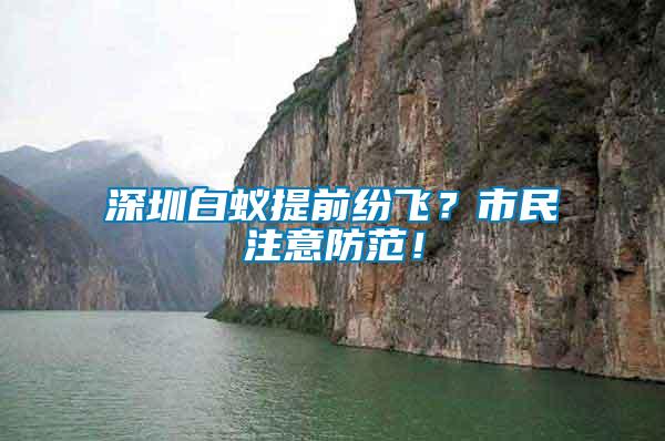 深圳白蟻提前紛飛？市民注意防范！