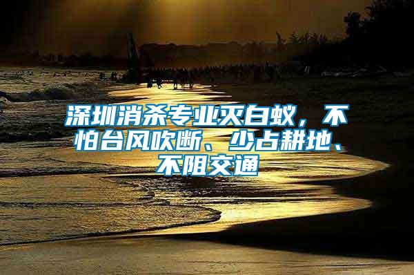 深圳消殺專業(yè)滅白蟻，不怕臺風(fēng)吹斷、少占耕地、不阻交通