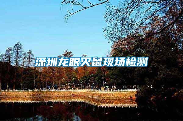 深圳龍眼滅鼠現場檢測