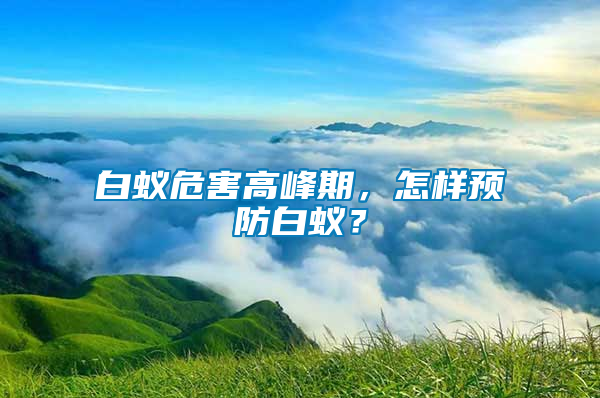 白蟻危害高峰期，怎樣預防白蟻？