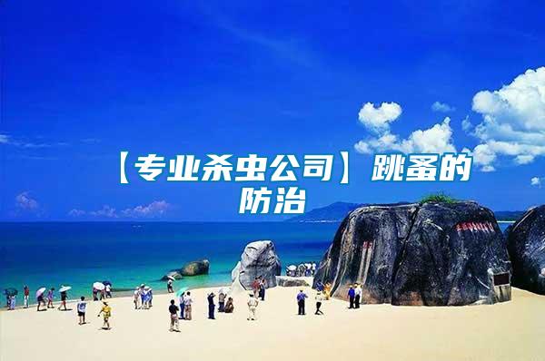 【專(zhuān)業(yè)殺蟲(chóng)公司】跳蚤的防治