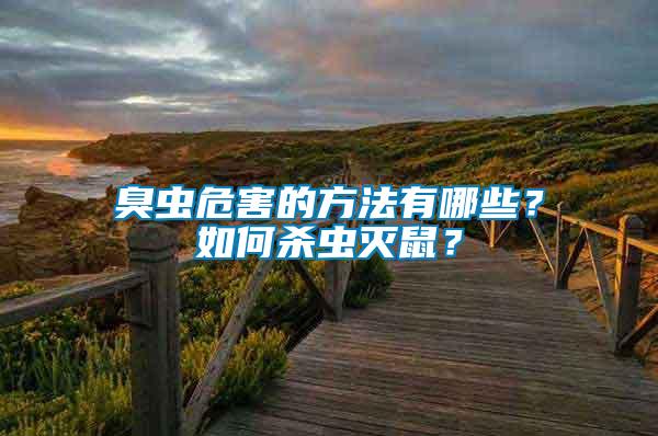臭蟲危害的方法有哪些？如何殺蟲滅鼠？