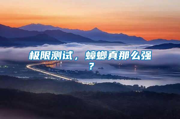 極限測試，蟑螂真那么強？