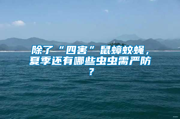 除了“四害”鼠蟑蚊蠅,夏季還有哪些蟲蟲需嚴防?