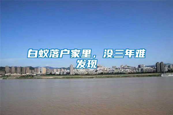 白蟻落戶家里，沒三年難發(fā)現(xiàn)