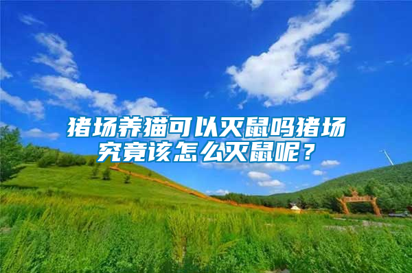 豬場(chǎng)養(yǎng)貓可以滅鼠嗎豬場(chǎng)究竟該怎么滅鼠呢？