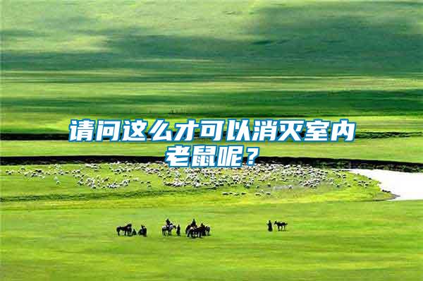 請問這么才可以消滅室內(nèi)老鼠呢？