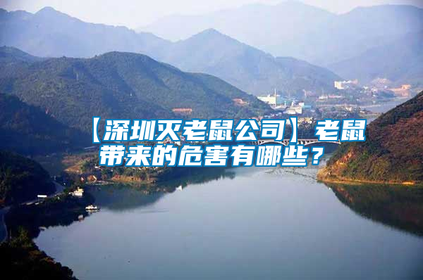 【深圳滅老鼠公司】老鼠帶來的危害有哪些？