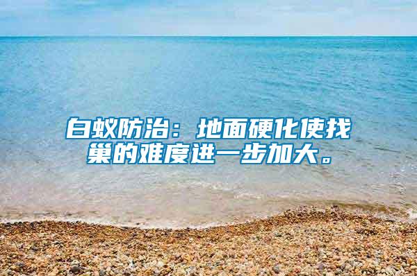 白蟻防治：地面硬化使找巢的難度進一步加大。