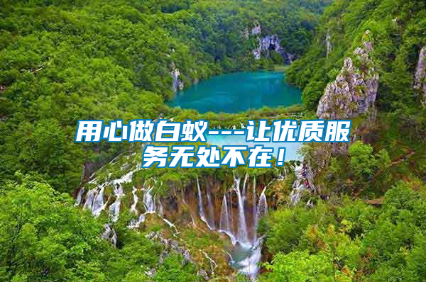 用心做白蟻---讓優(yōu)質服務無處不在！