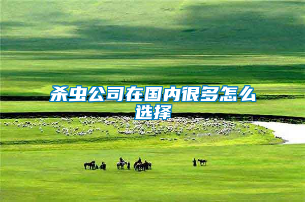 殺蟲公司在國內很多怎么選擇