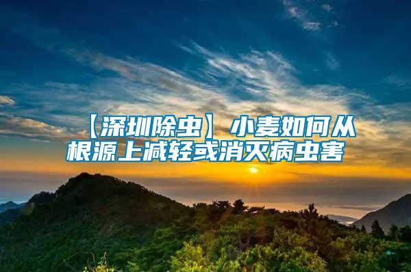 【深圳除蟲(chóng)】小麥如何從根源上減輕或消滅病蟲(chóng)害