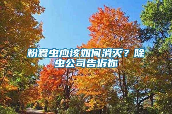 粉蠹蟲應該如何消滅？除蟲公司告訴你